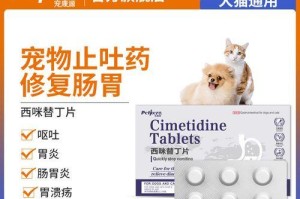 猫咪呕吐黄水拉稀的治疗方法（了解症状与正确用药，宠物健康无忧）