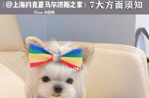 约克夏孕期护理注意事项（宝宝健康成长的关键）
