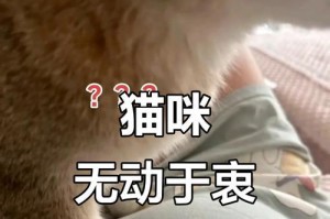 小猫怀孕的迹象及确认时间（了解小猫怀孕迹象的重要性与方法）