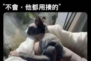 解析“有猫”梗的深层含义（揭秘“有猫”梗流行的原因与影响力）