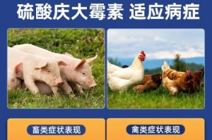 庆大霉素在兽医临床中的应用与联合用药（兽医领域庆大霉素的用途及其与其他药物的联合应用）