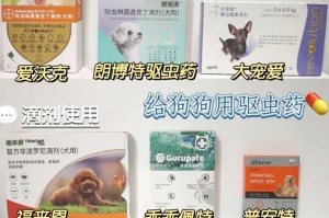 选择合适的狗驱虫药物，保护宠物健康（为您的狗狗选择最佳驱虫药物，关注寄生虫预防与治疗）
