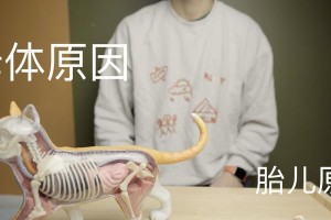 狗狗难产，如何保护母犬与幼犬安全？（了解难产预防和处理关键，提前做好准备，保障狗狗的健康与幸福。）