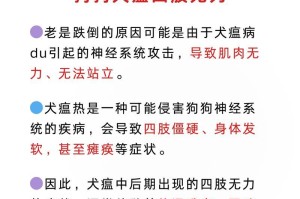 小狗瘟（了解小狗瘟的症状与治疗，守护你的小狗健康）