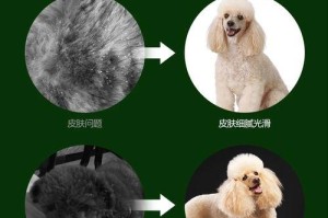 泰迪犬的食物认知能力研究（探索泰迪犬多久认食的关键因素及其对饲养的启示）