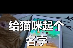 猫如何取洋气的名字（为你的宠物猫起一个与众不同的名字吧！）
