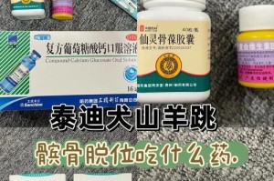 狗狗不吃饭吃什么药？（探索解决狗狗食欲不振的有效方法）