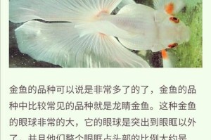 金鱼养殖（探究金鱼食性以及其影响因素）