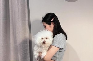 意外怀孕的比熊犬将如何度过妊娠期？（探究比熊犬妊娠期的关键因素及注意事项）