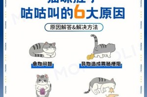 水声不断的肚子——了解咕噜病症（肚子咕噜是什么病？水声告诉你答案）