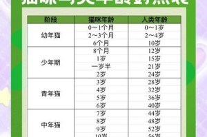 照顾不同年龄段的猫咪的关键指南（了解猫咪的成长需求，让他们健康快乐）