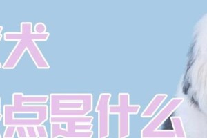 如何正确给你的古牧梳毛（宠物美容必备技巧，古牧毛发护理全攻略）