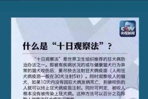 猫咪为什么不打疫苗不能洗澡？（探究猫咪免疫和洗澡的关系，保障猫咪健康）