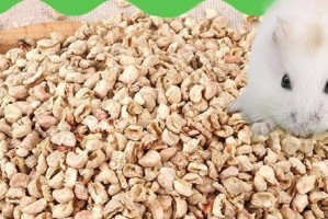 仓鼠垫料选择指南（探索仓鼠垫料的种类及如何选择适合你的小伙伴）