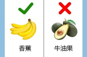 如何正确喂养你的比熊犬（比熊犬喂养注意事项与健康饮食）
