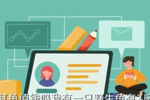 黄肚红耳龟饲养方法（如何让你的黄肚红耳龟健康成长）