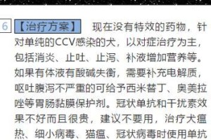狗狗冠状病毒的潜伏期究竟有多长？（揭秘狗狗冠状病毒的潜伏期长短与相关症状）