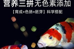 小精灵鱼的饲养方法（打造完美的小精灵鱼缸环境）