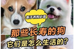 为什么狗狗生之前会发抖（了解狗狗生前的发抖现象及原因）